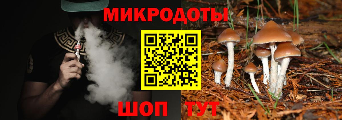Псилоцибиновые грибы прущие грибы  Псилоцибиновые грибы мицелий  Боровичи  Вход с VPN 